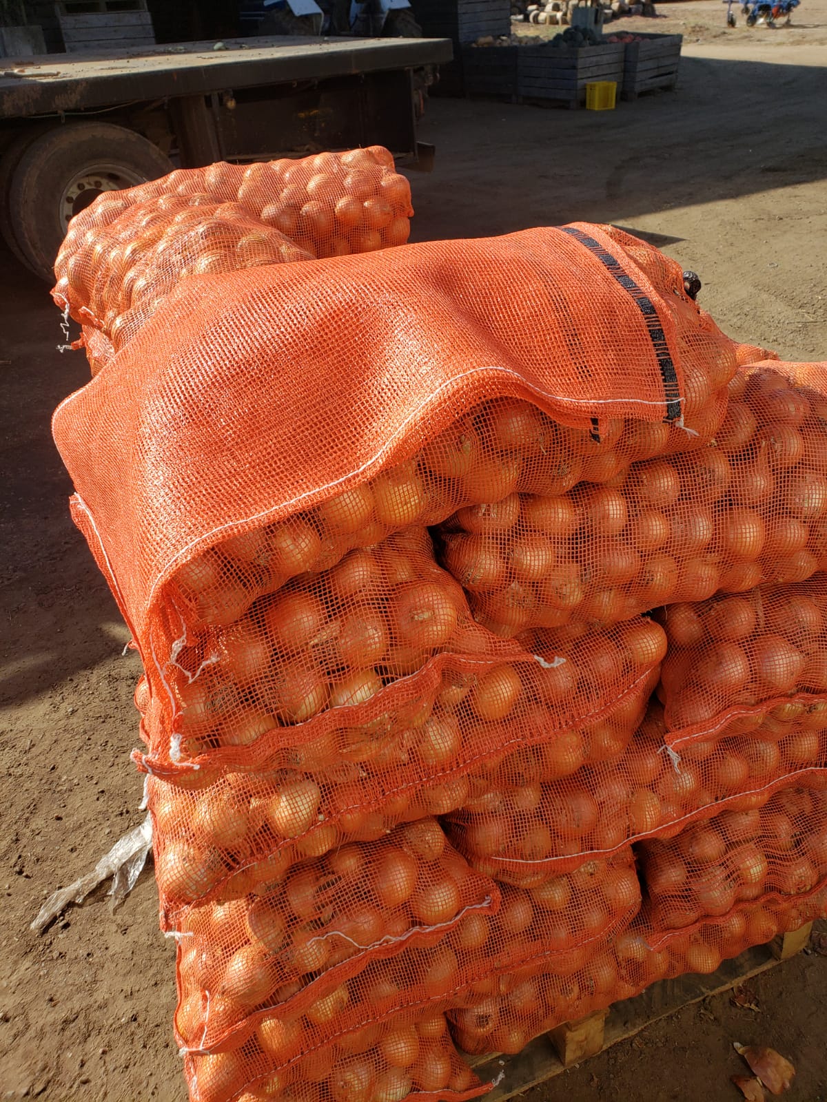 Bolsa naranja para cebolla
