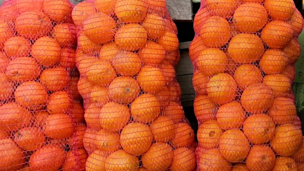 Bolsa para naranja