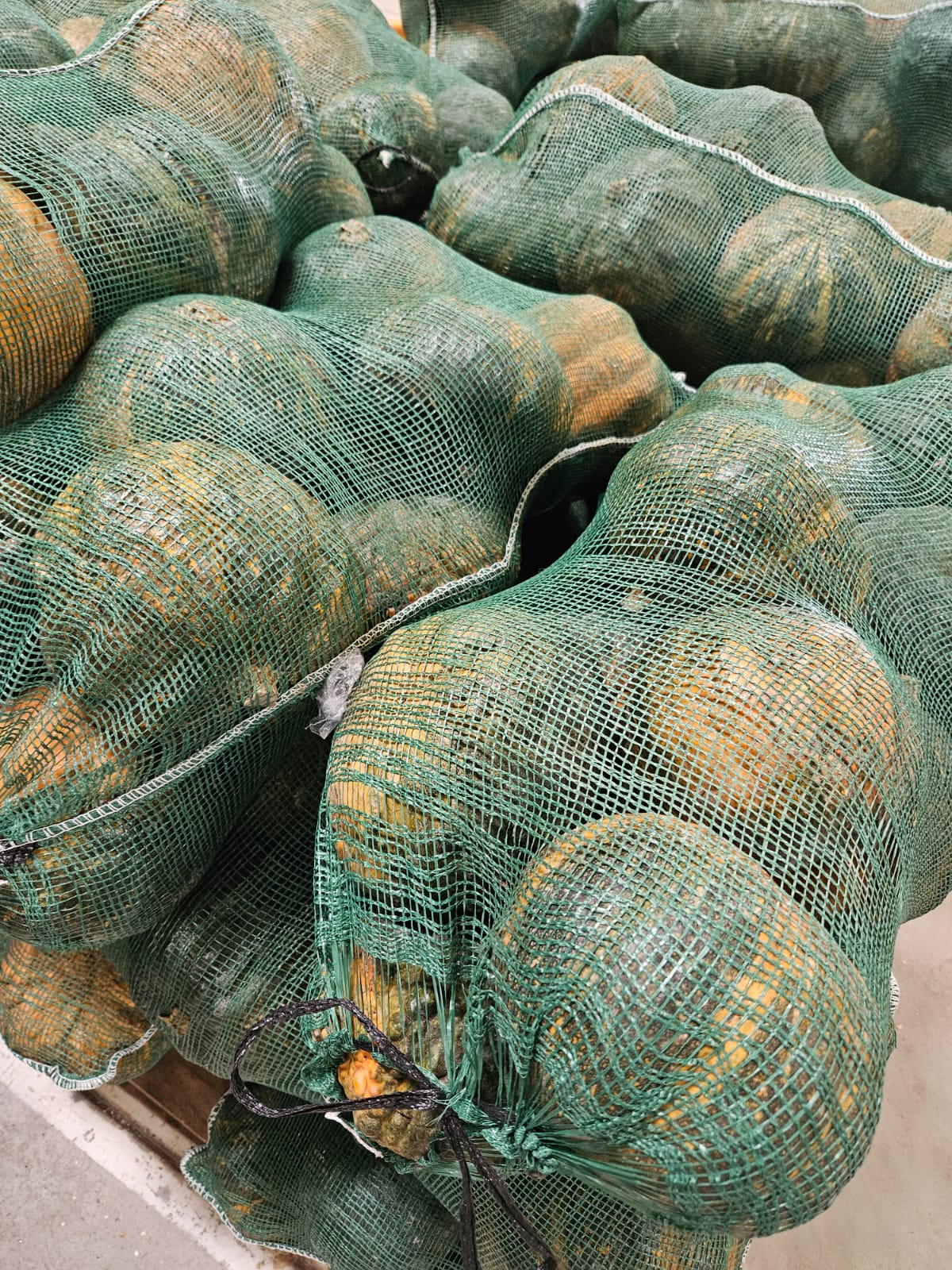 Bolsa verde oscuro para zapallo